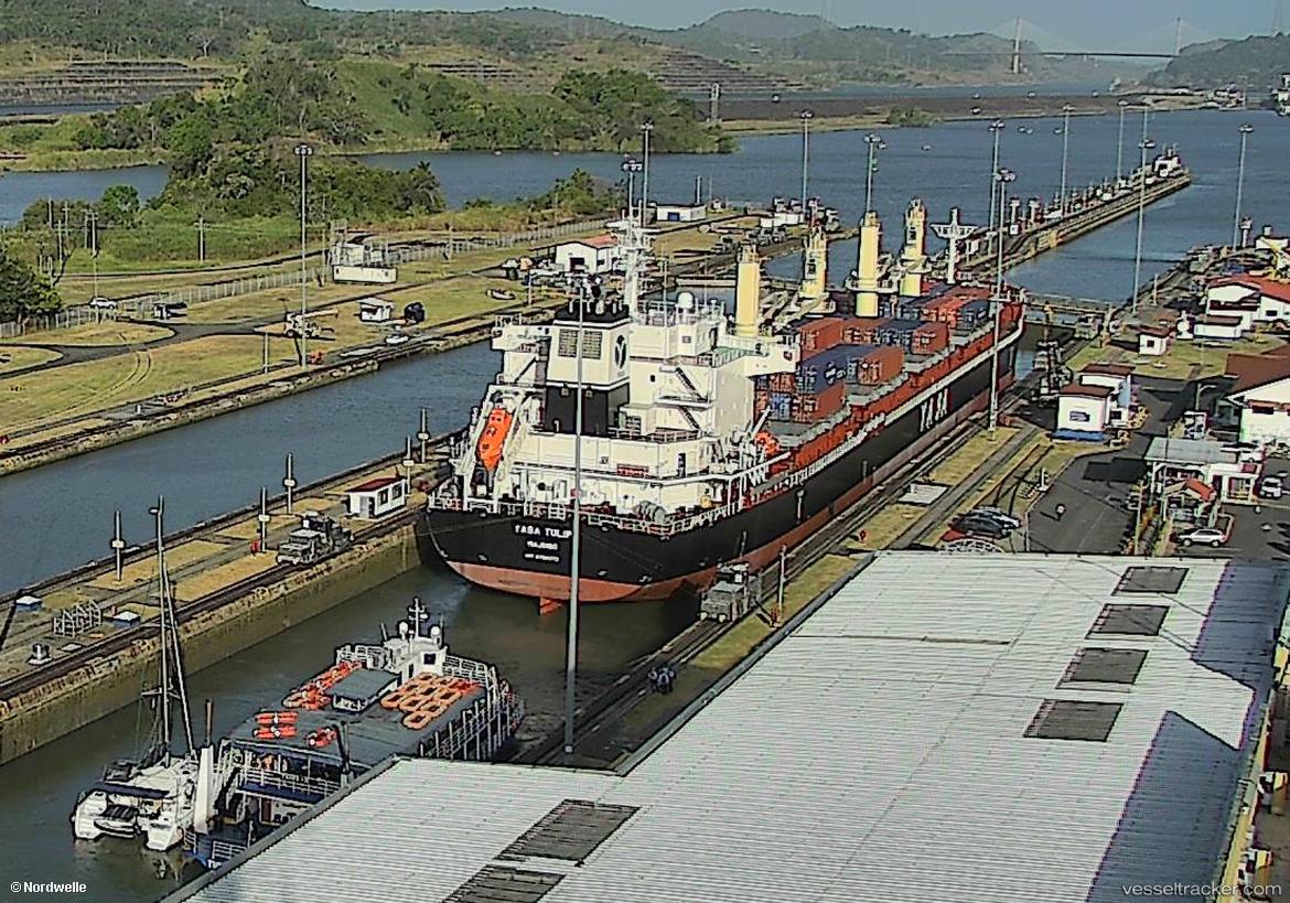 Yasa-Tulip - Bulk Carrier vessel