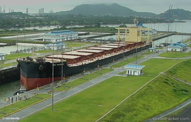 Nsu-Voyager - Bulk Carrier vessel
