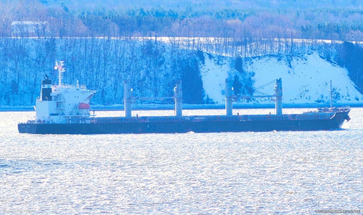 Stellar-Isabela - Bulk Carrier vessel