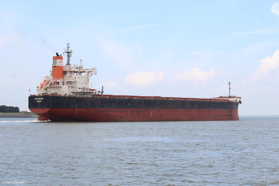 Am-Umang - Bulk Carrier vessel