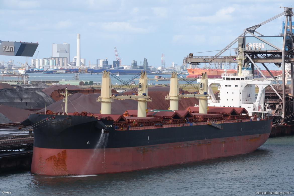 Sakura - Bulk Carrier vessel