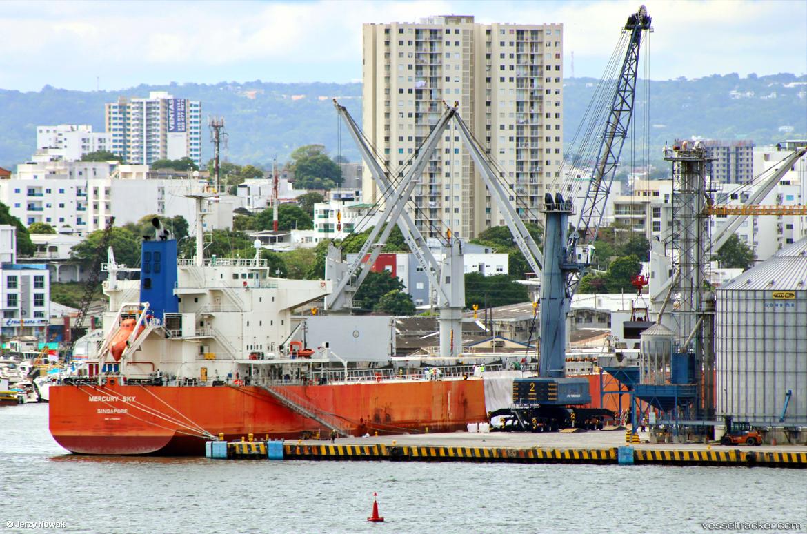 Mercury-Sky - Bulk Carrier