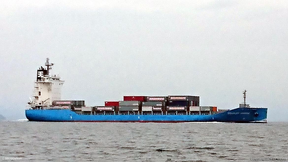 Scarlet-Arrow - Container Ship vessel