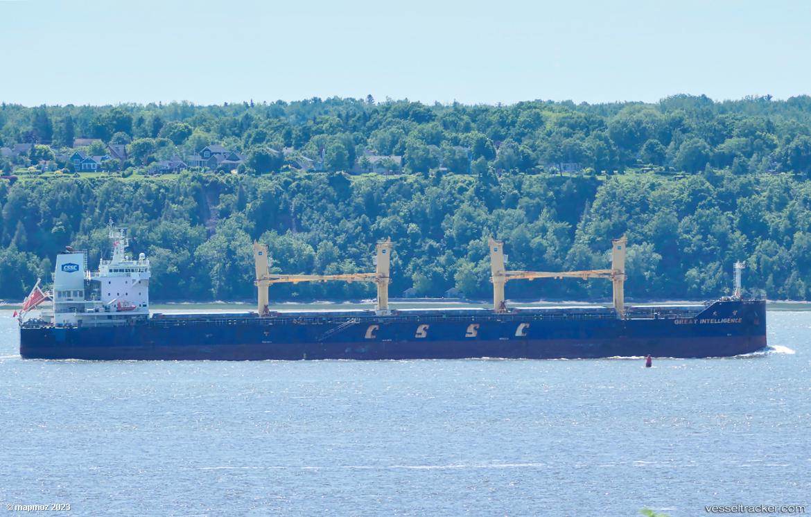 Great-Intelligence - Bulk Carrier vessel
