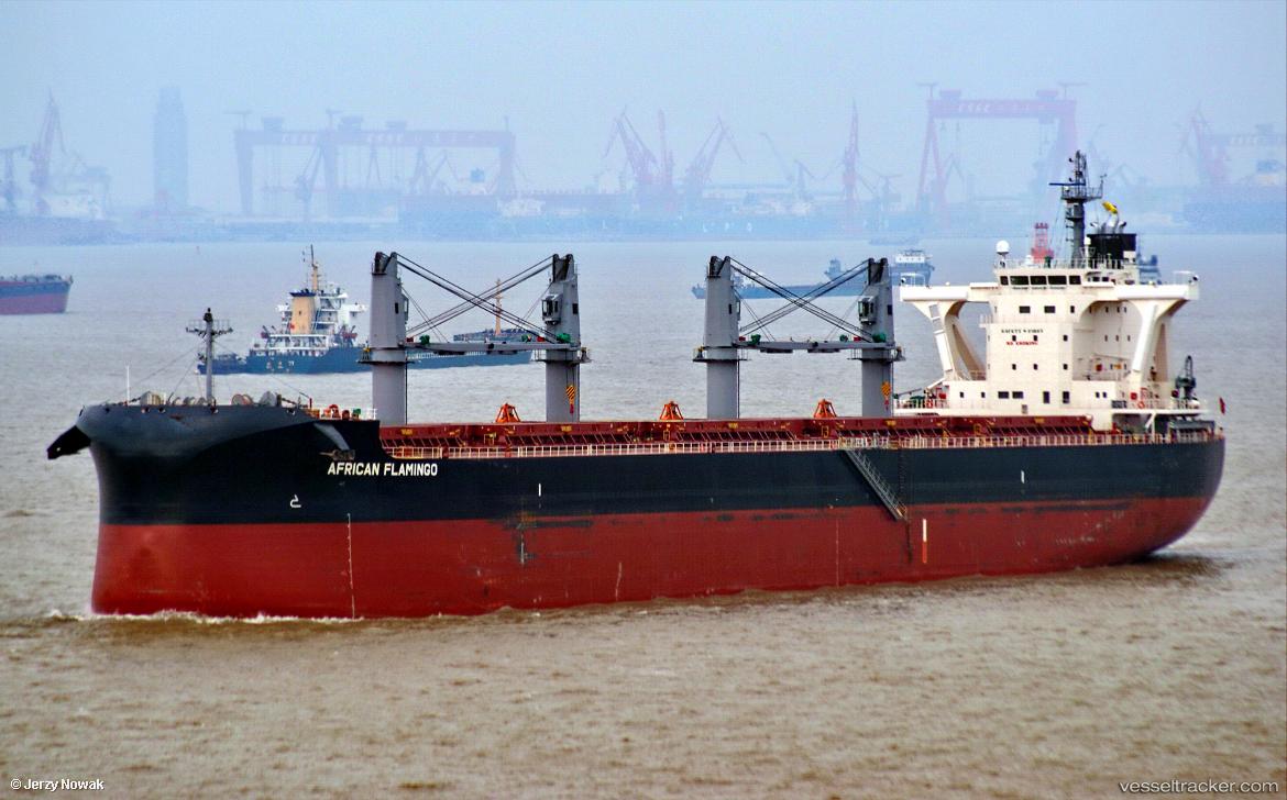 African-Flamingo - Bulk Carrier vessel