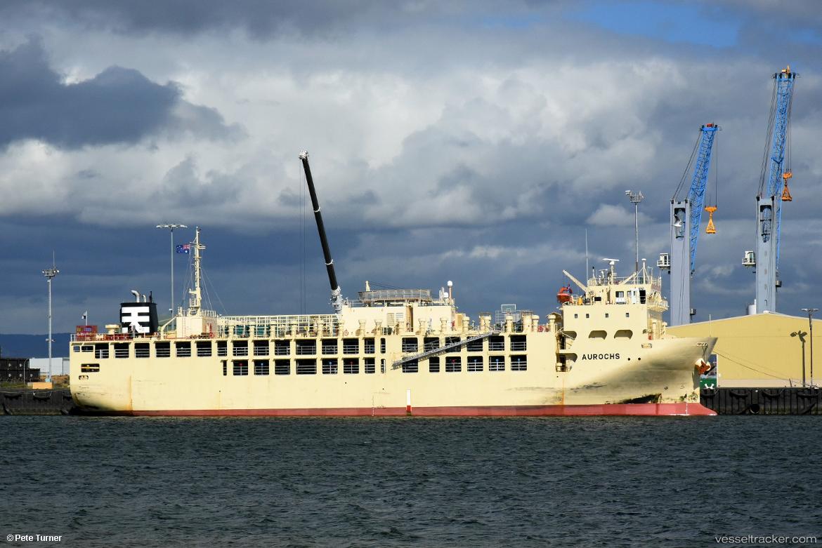 Friesian-Express - Livestock Carrier vessel