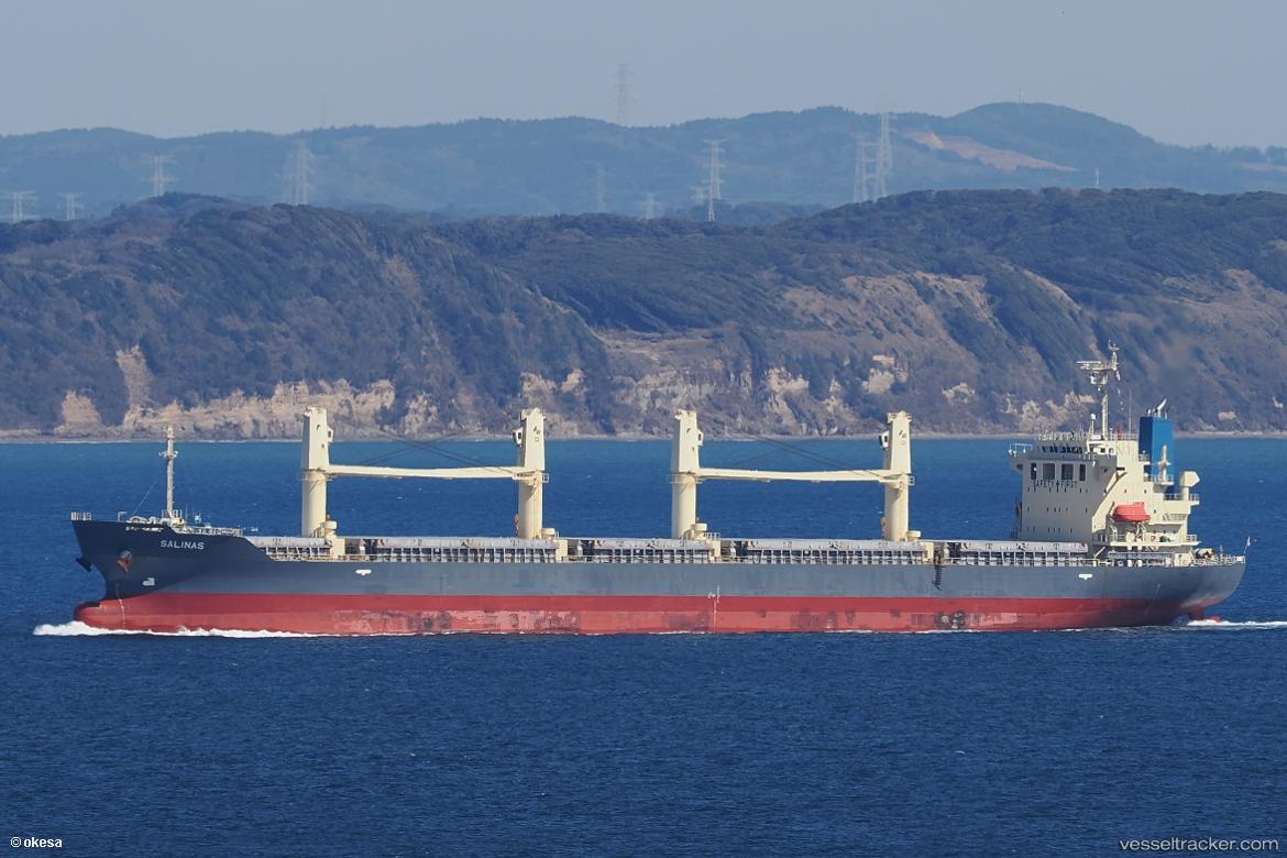 Salinas - Bulk Carrier vessel