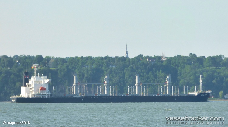 Gold-Oak - Bulk Carrier vessel
