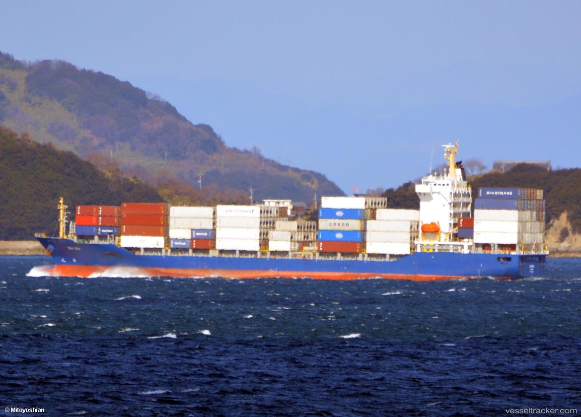 Estima - Container Ship vessel