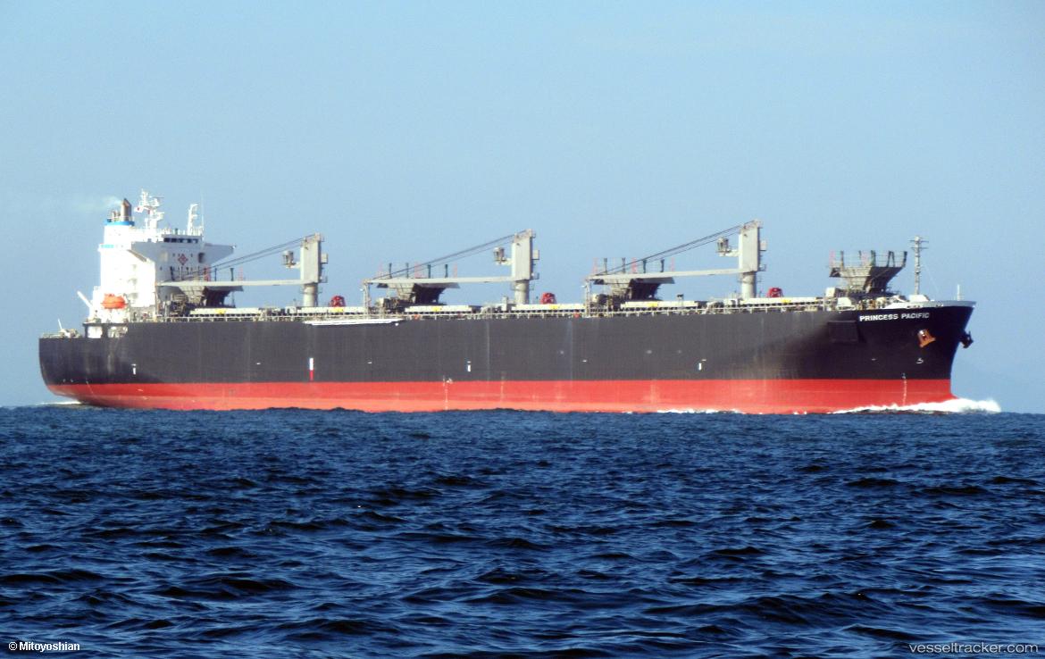 Princess-Pacific - Wood Chips Carrier vessel
