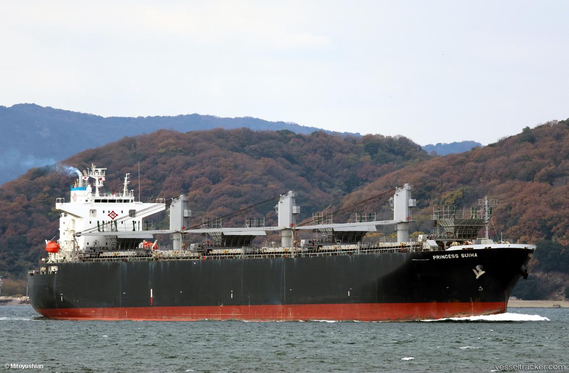 Princess-Suiha - Wood Chips Carrier vessel