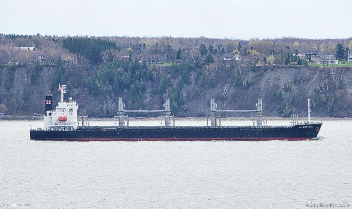 Tatung - Bulk Carrier vessel