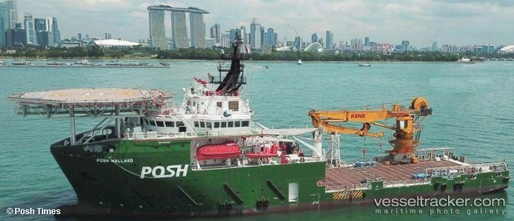 Posh-Mallard - Offshore Support Vessel vessel