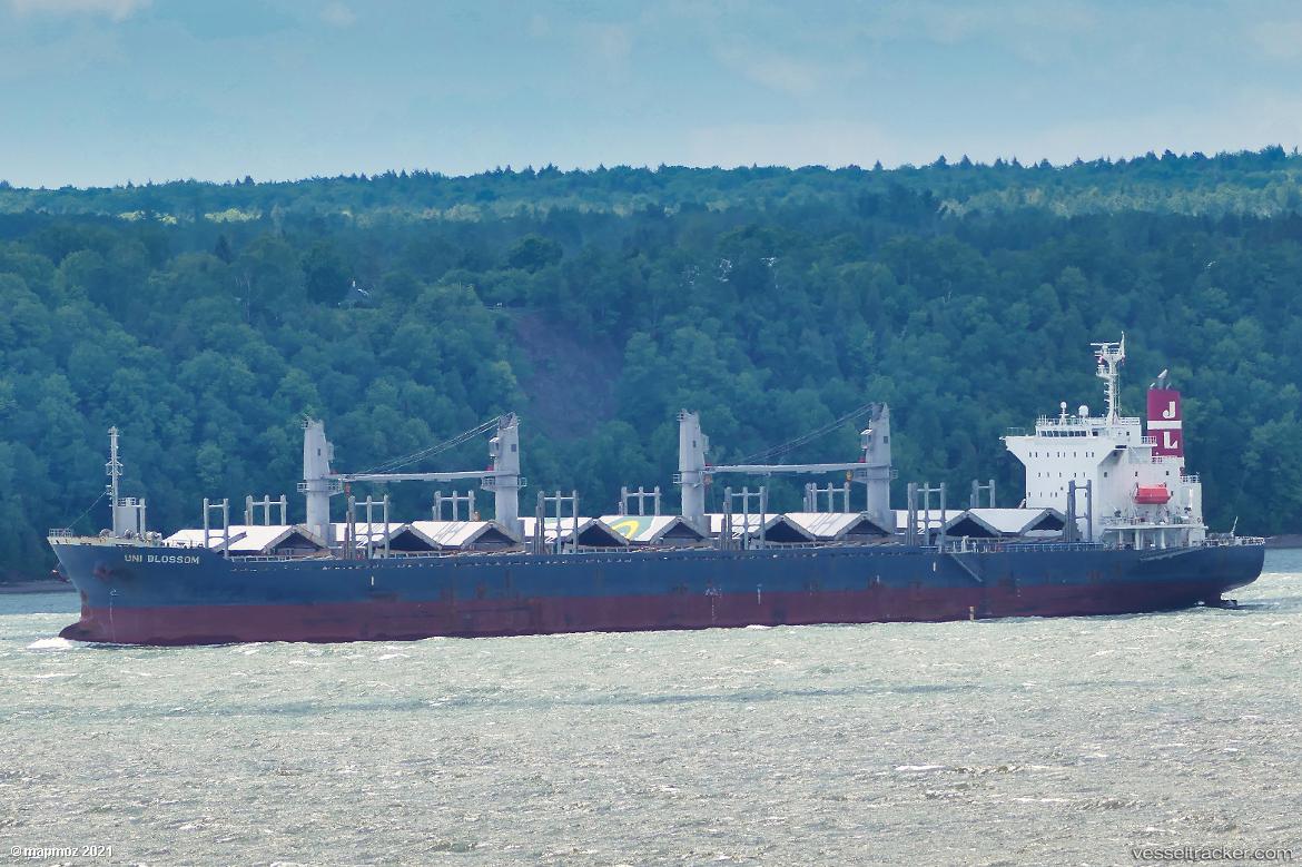 Uni-Blossom - Bulk Carrier vessel