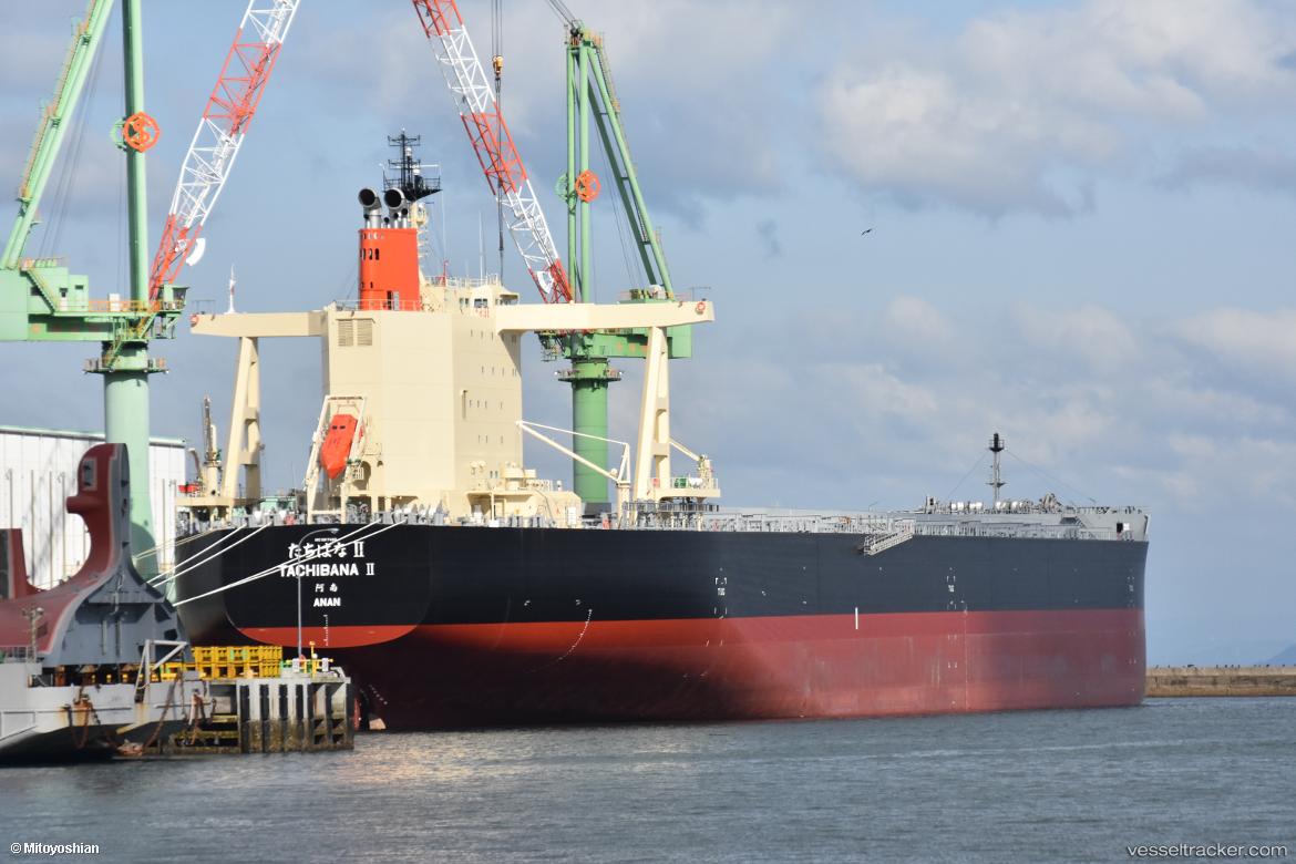 Tachibana-Ii - Bulk Carrier vessel