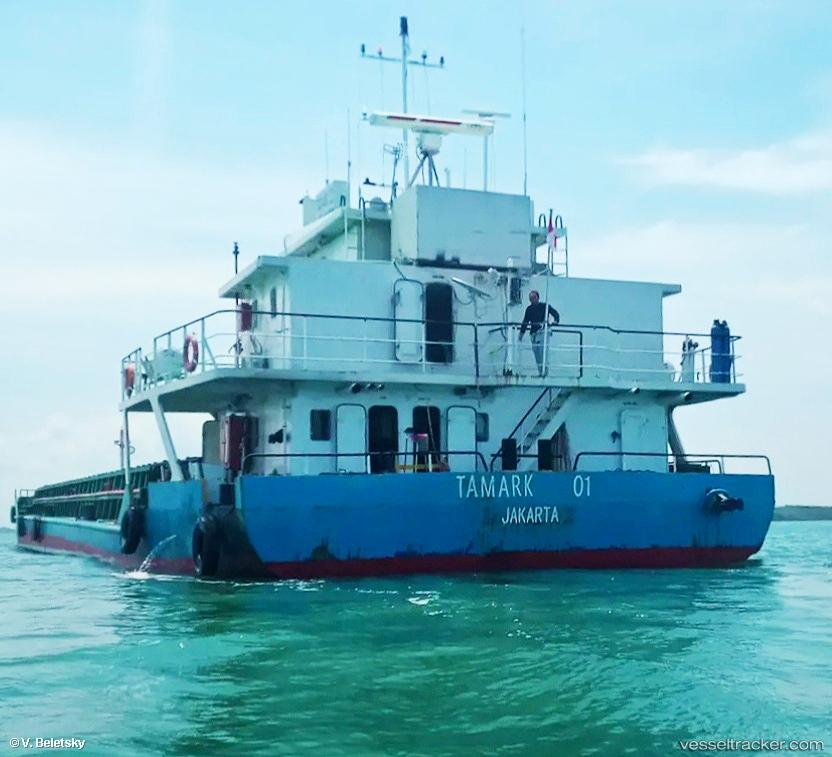 Tamark-01 - Self Discharging Bulk Carrier vessel
