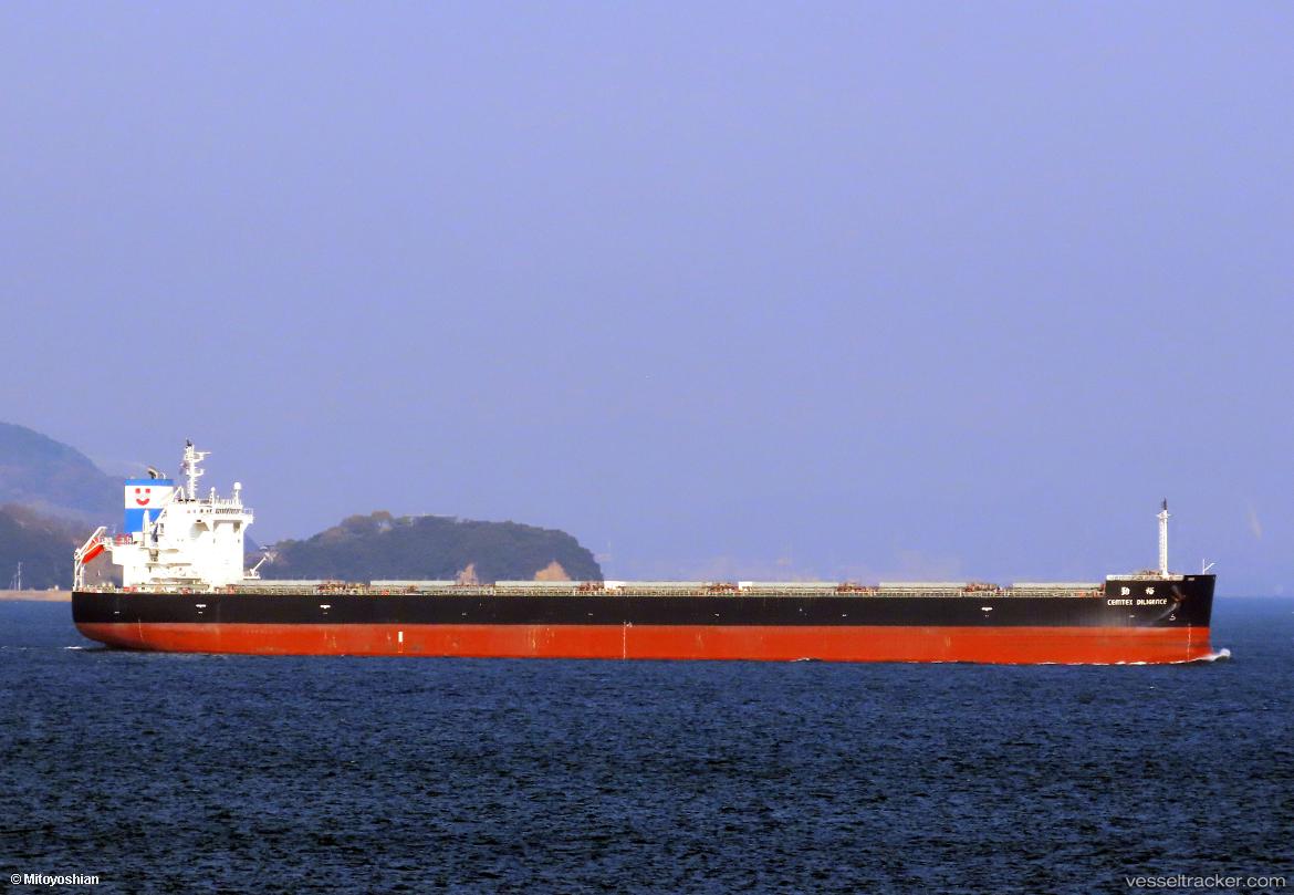 Cemtex-Diligence - Bulk Carrier vessel