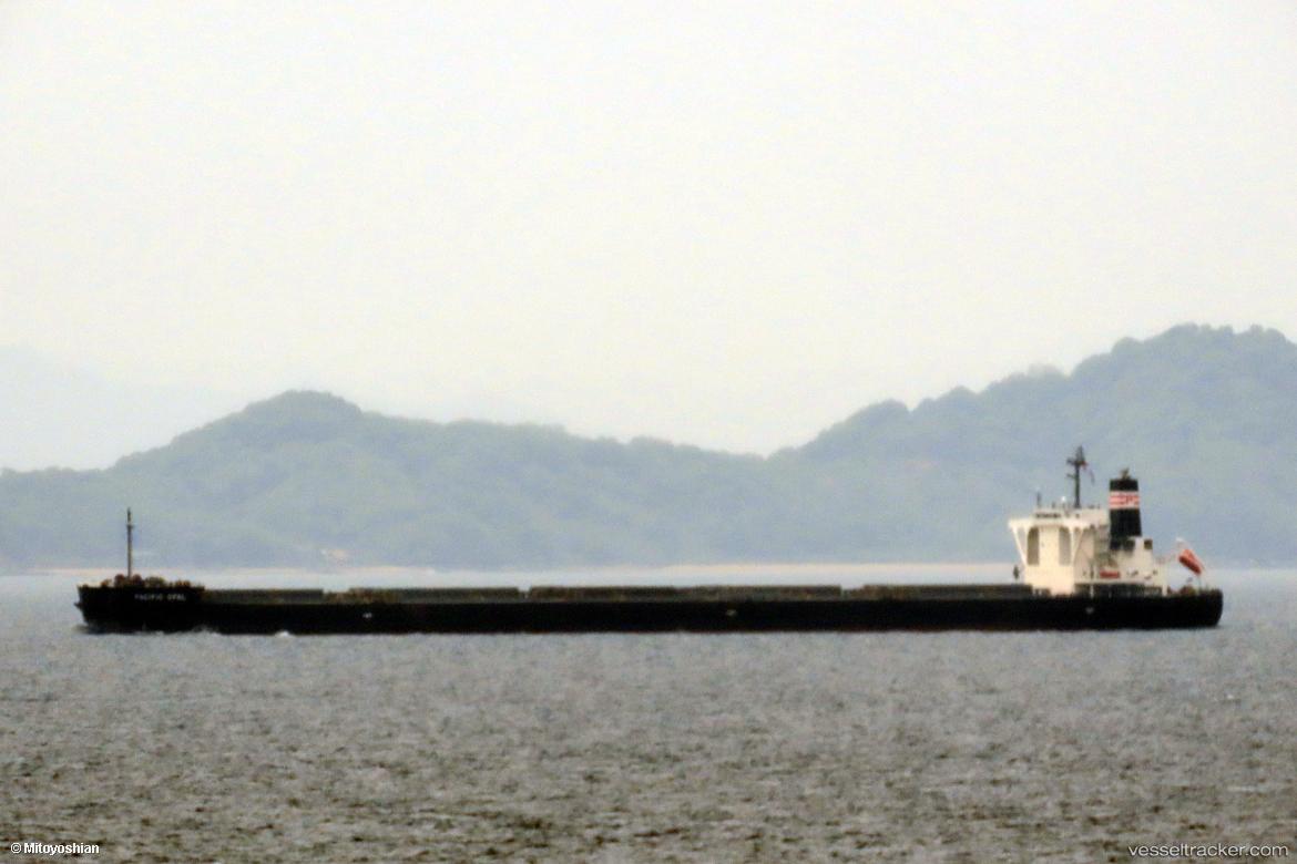 Pacific-Opal - Bulk Carrier vessel