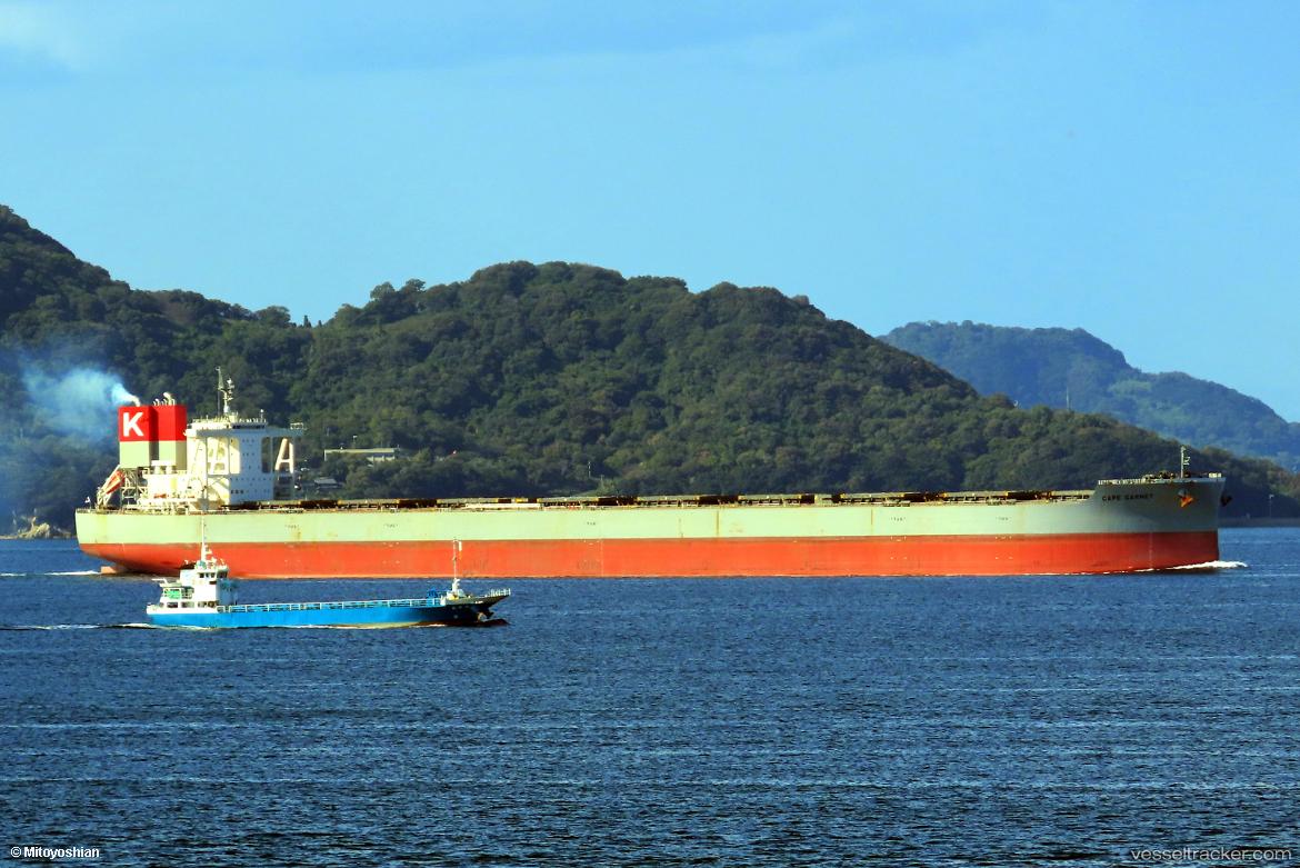 Cape-Garnet - Bulk Carrier vessel