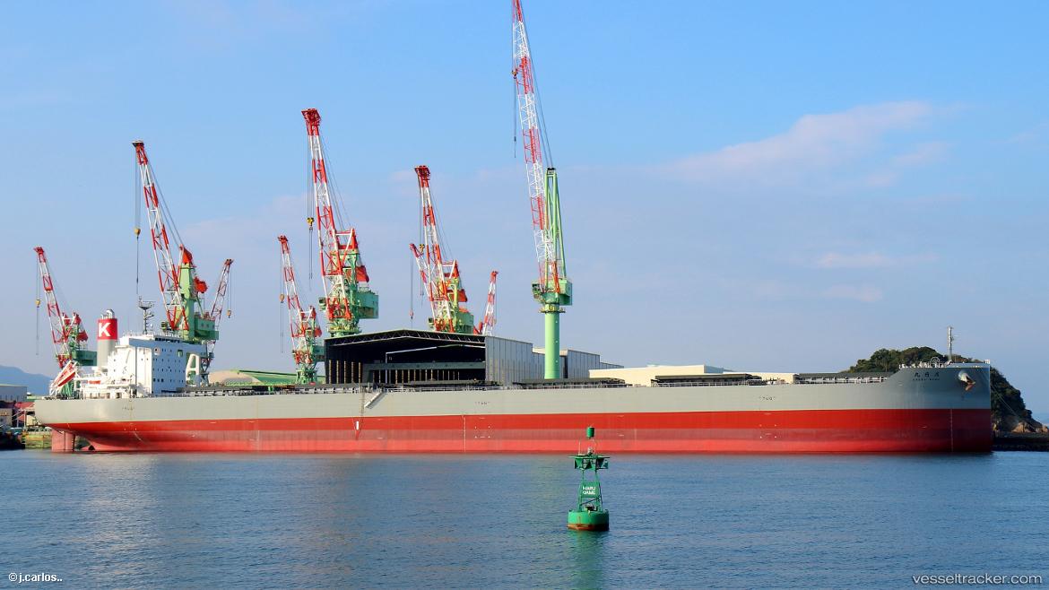Shonai-Maru - Bulk Carrier vessel