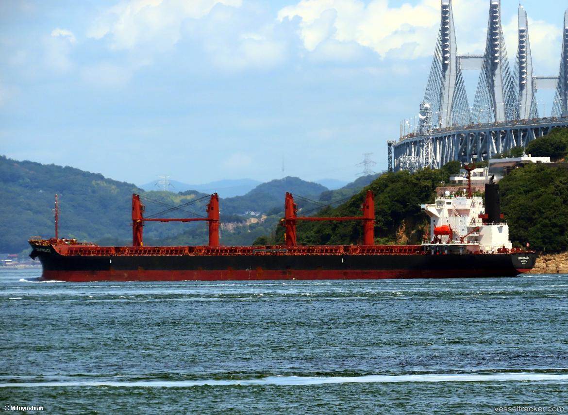 Southgate - Bulk Carrier vessel