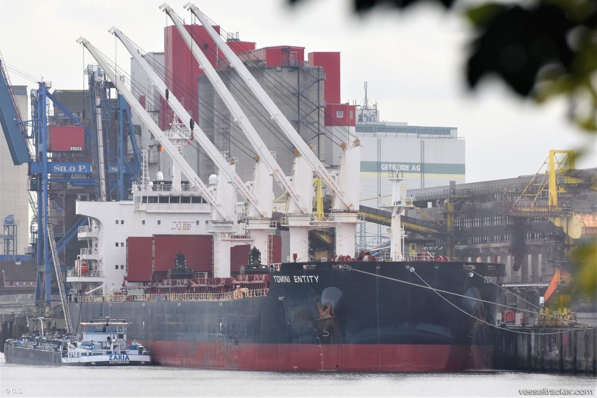 Tomini-Entity - Bulk Carrier vessel