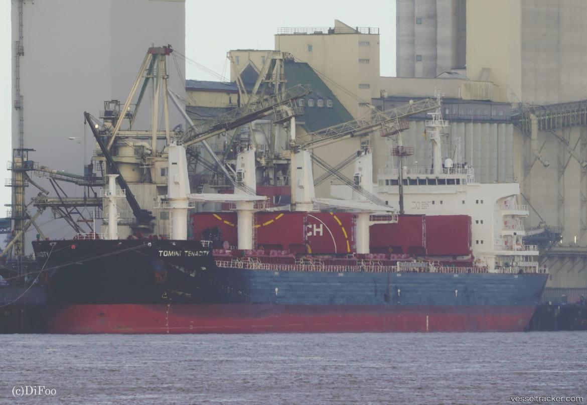 Tomini-Tenacity - Bulk Carrier vessel