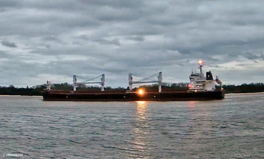 Tomini-Felicity - Bulk Carrier vessel