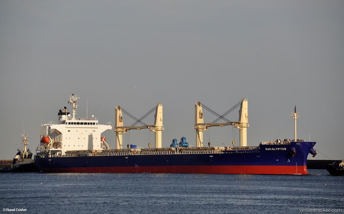Eucalyptus - Bulk Carrier vessel