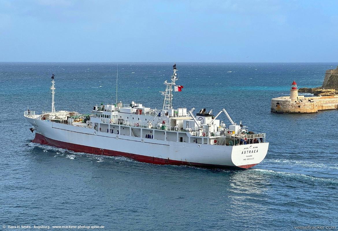 Astraea - Refrigerated Cargo Ship vessel