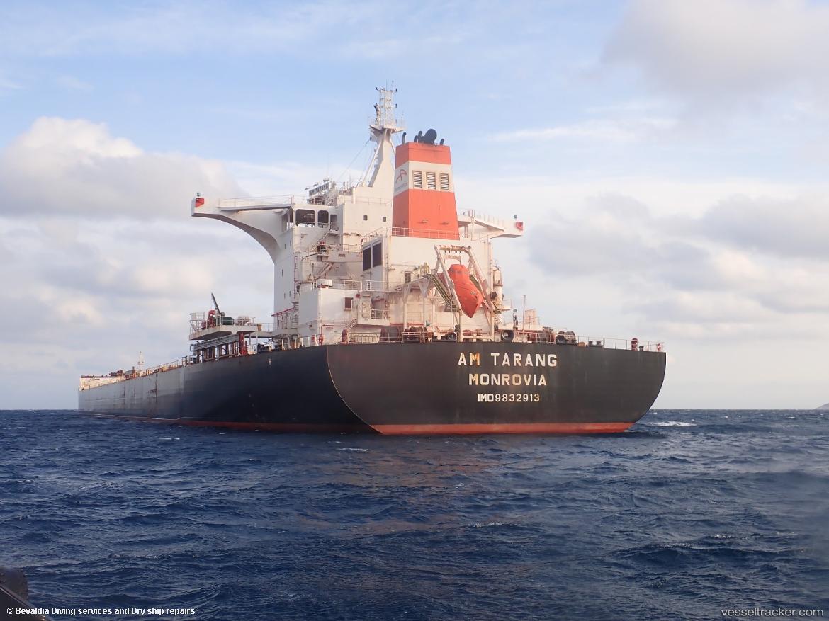 Am-Tarang - Bulk Carrier vessel