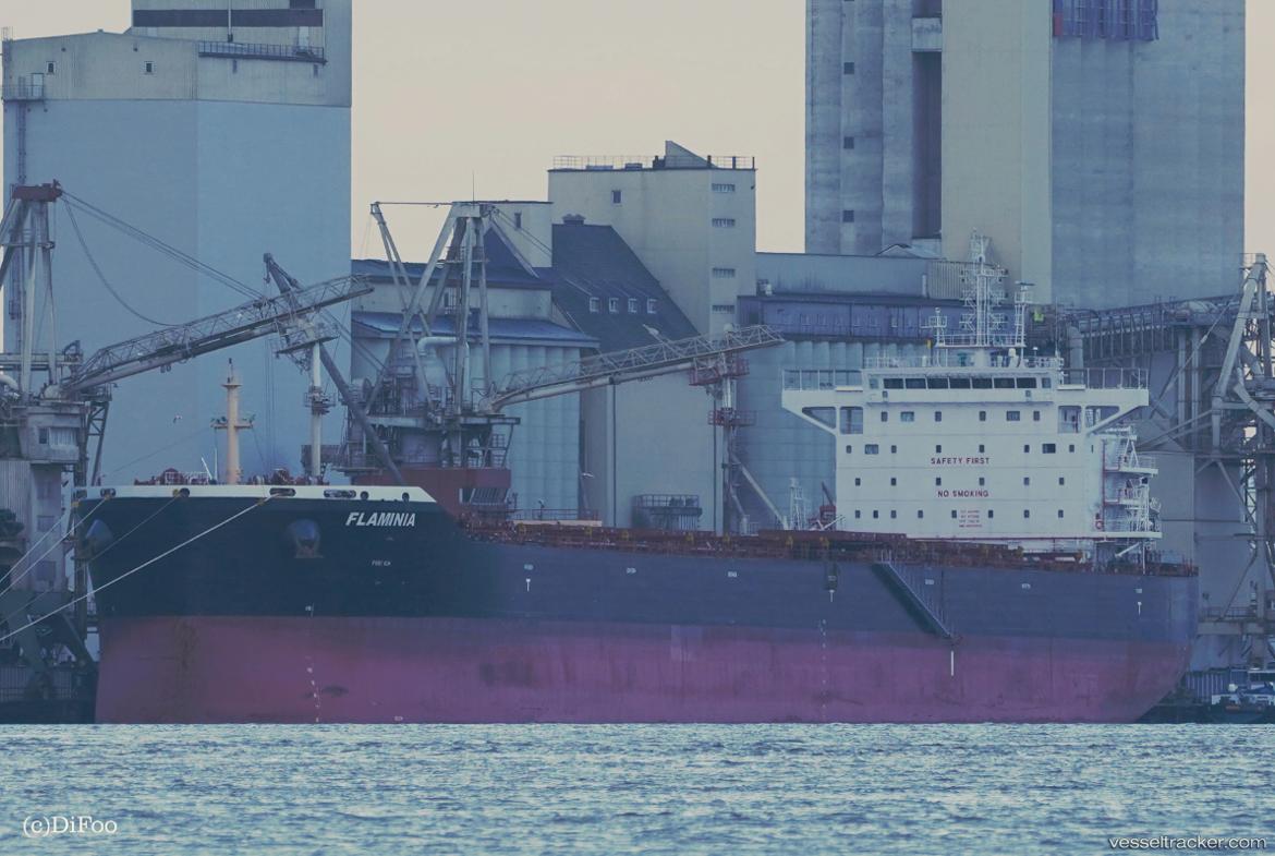 Flaminia - Bulk Carrier vessel
