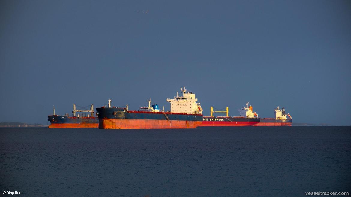 Sara - Bulk Carrier vessel
