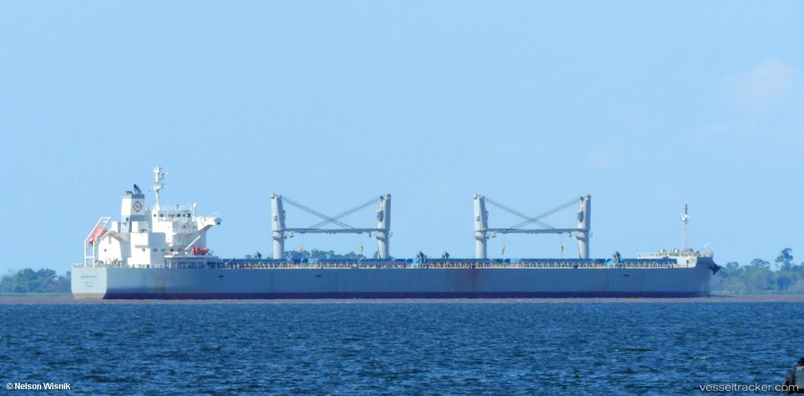 Western-Tokyo - Bulk Carrier vessel