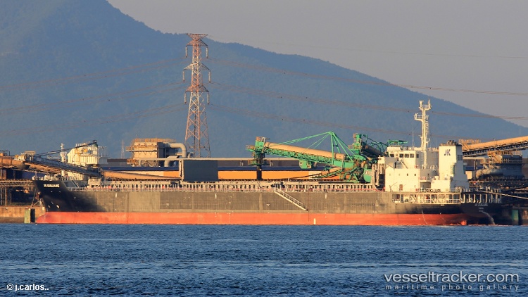 Jk-Gunjang - Self Discharging Bulk Carrier vessel