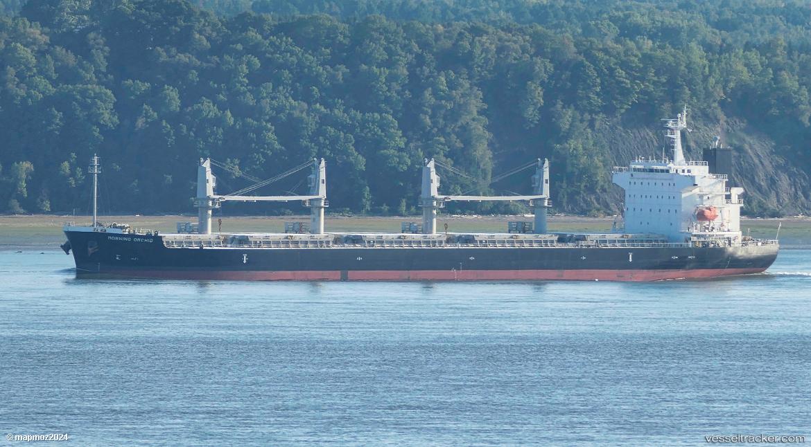Morning-Orchid - Bulk Carrier vessel