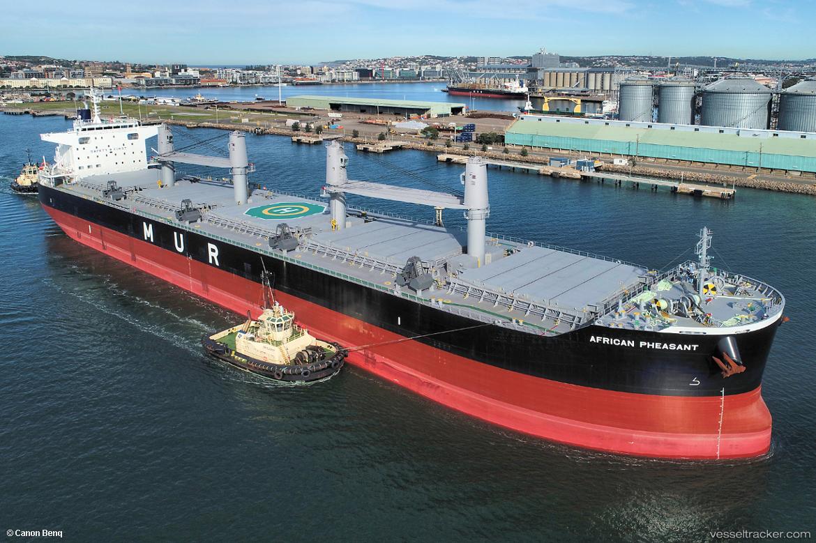 African-Pheasant - Bulk Carrier vessel