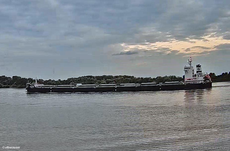 Bbg-Guigang - Bulk Carrier vessel