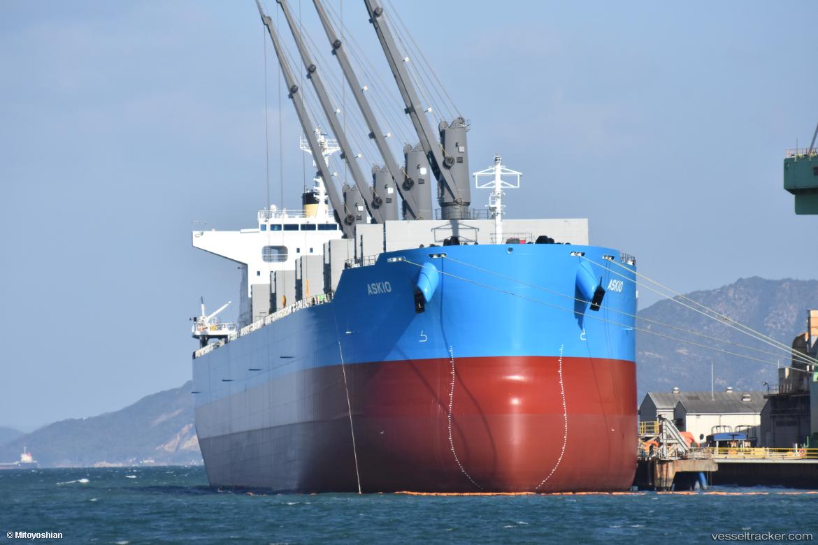 Askio - Bulk Carrier vessel