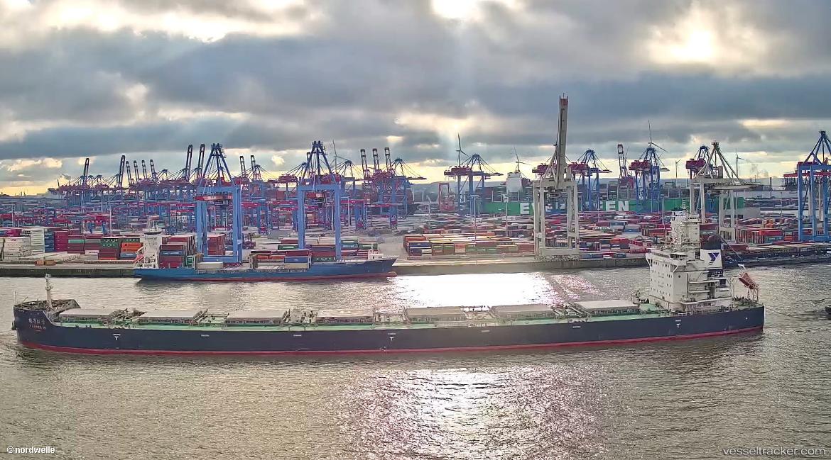 Yangze-15 - Bulk Carrier vessel