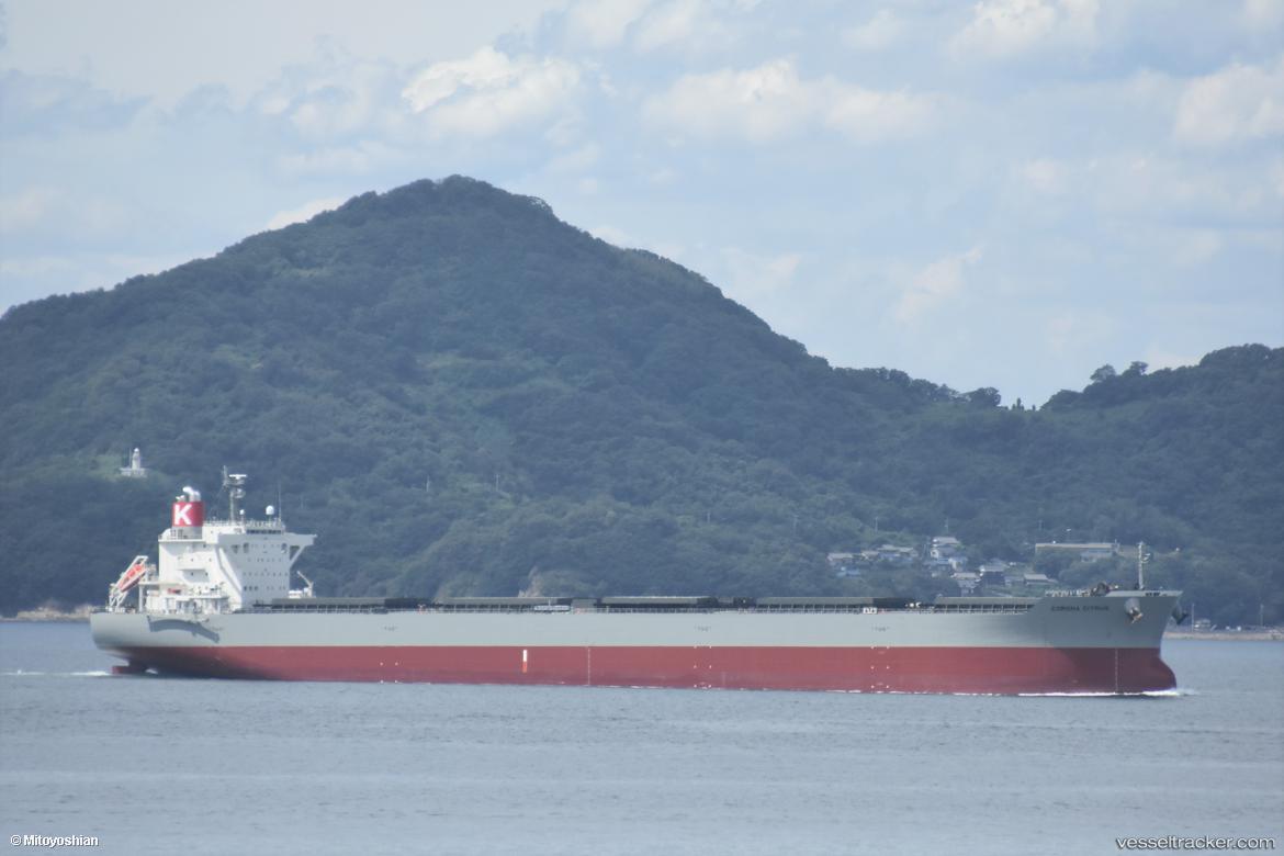 Corona-Citrus - Bulk Carrier vessel