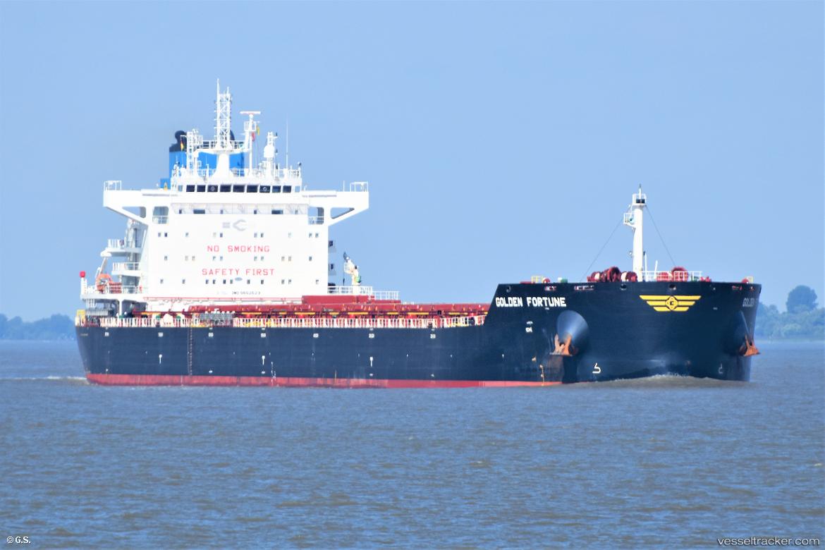 Golden-Fortune - Bulk Carrier vessel