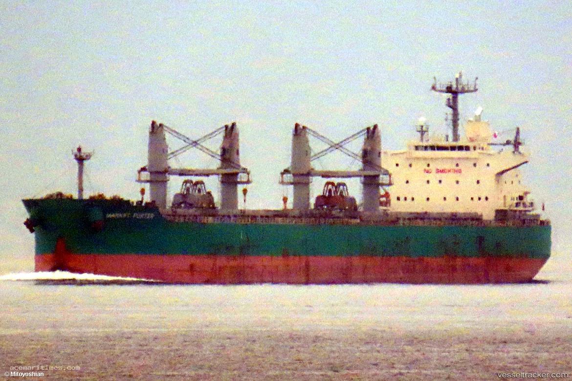 Market-Porter - Bulk Carrier