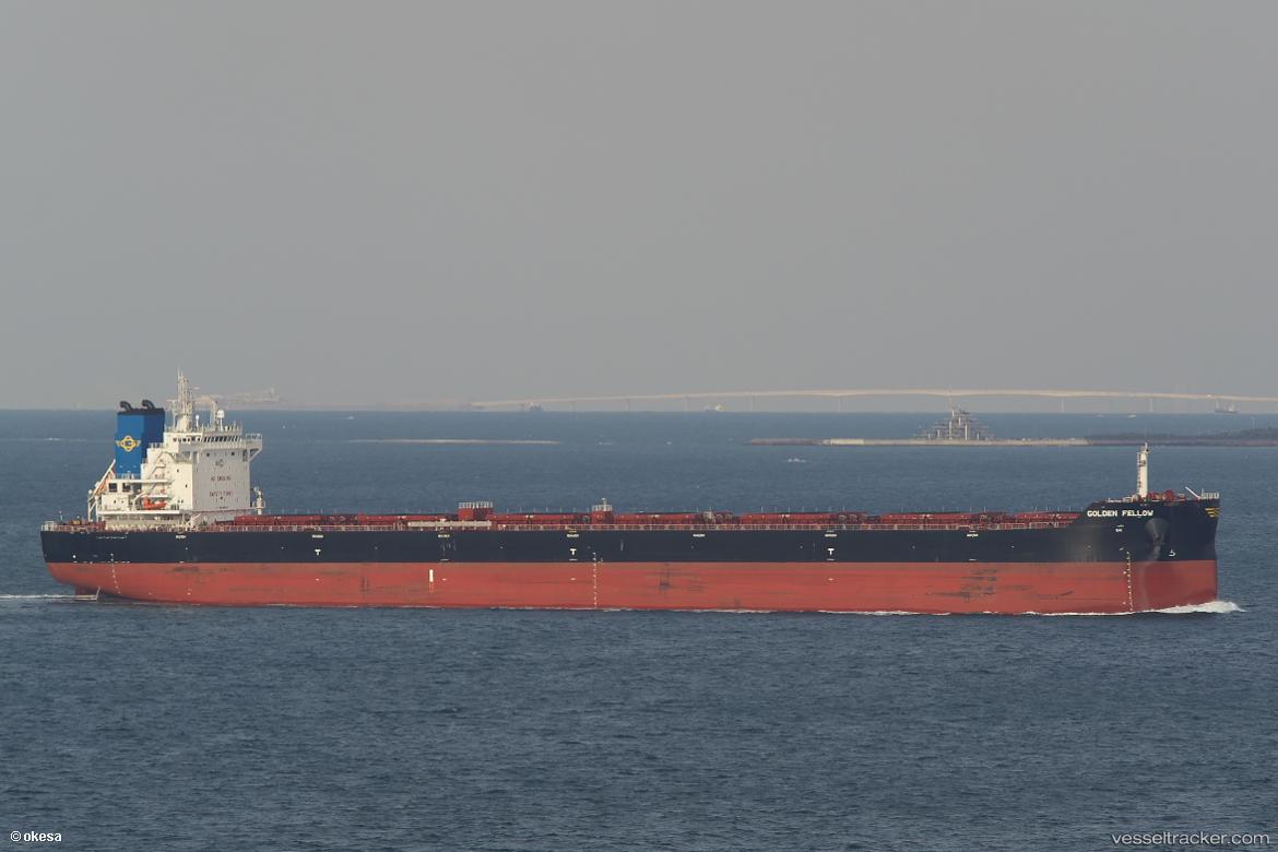 Golden-Fellow - Bulk Carrier vessel