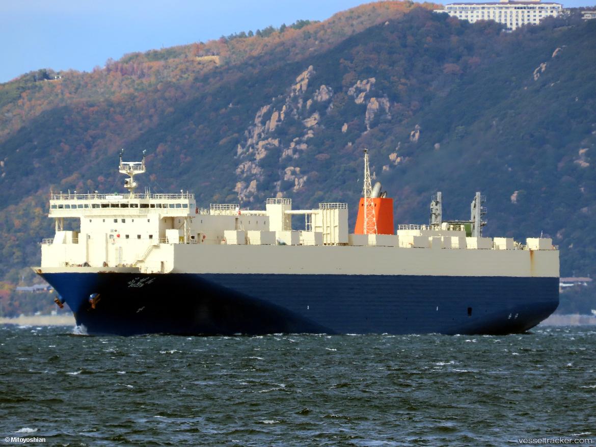 Buzen - Ro Ro Cargo Ship vessel