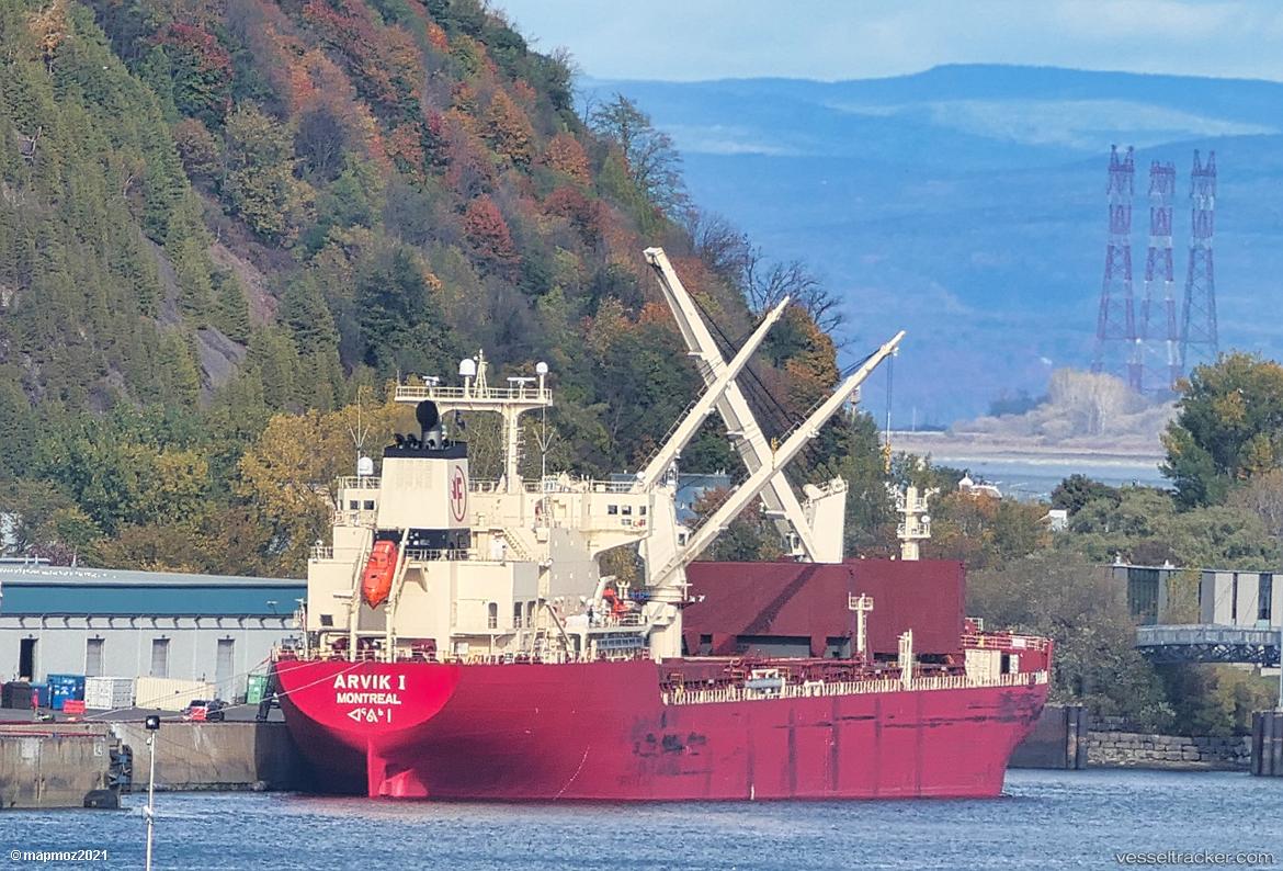 Arvik-I - Bulk Carrier vessel