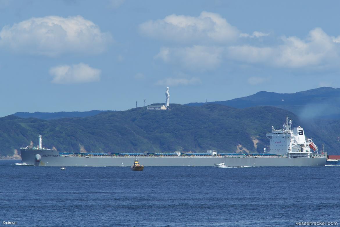 Pan-Quantum - Bulk Carrier vessel