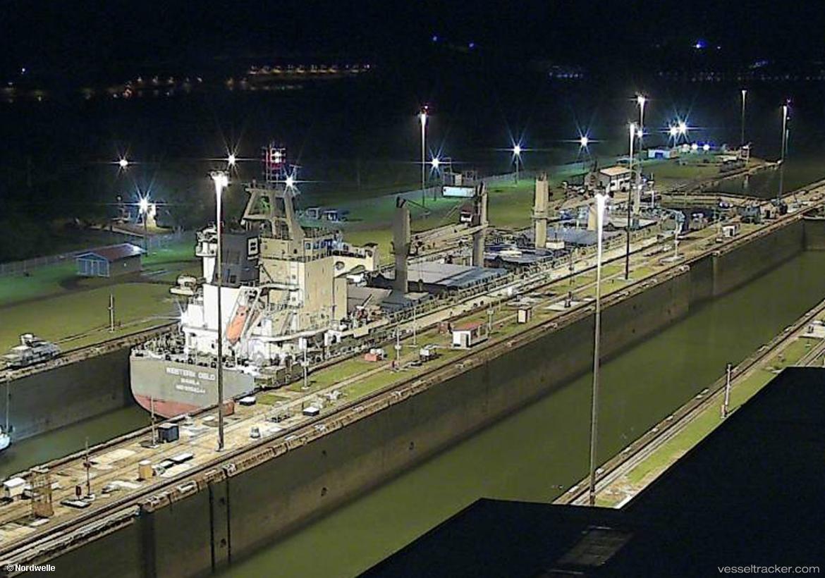 Pacific-Champ - Bulk Carrier vessel