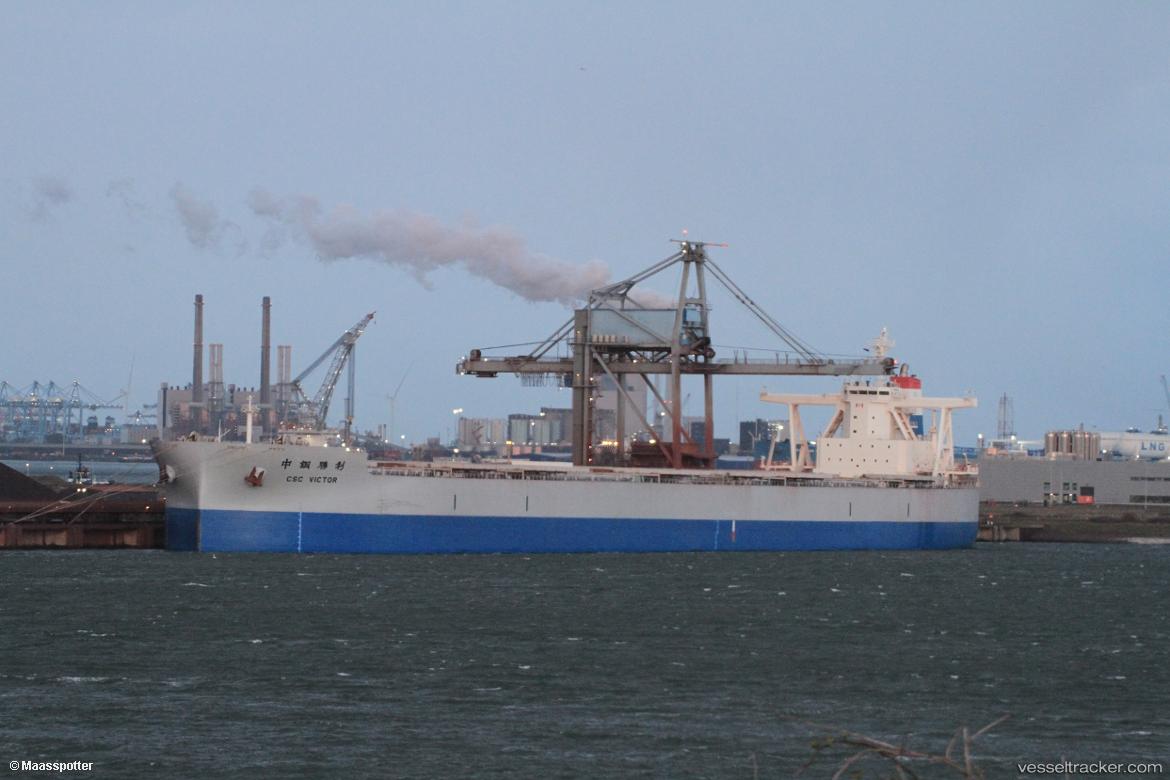 Csc-Victor - Bulk Carrier vessel