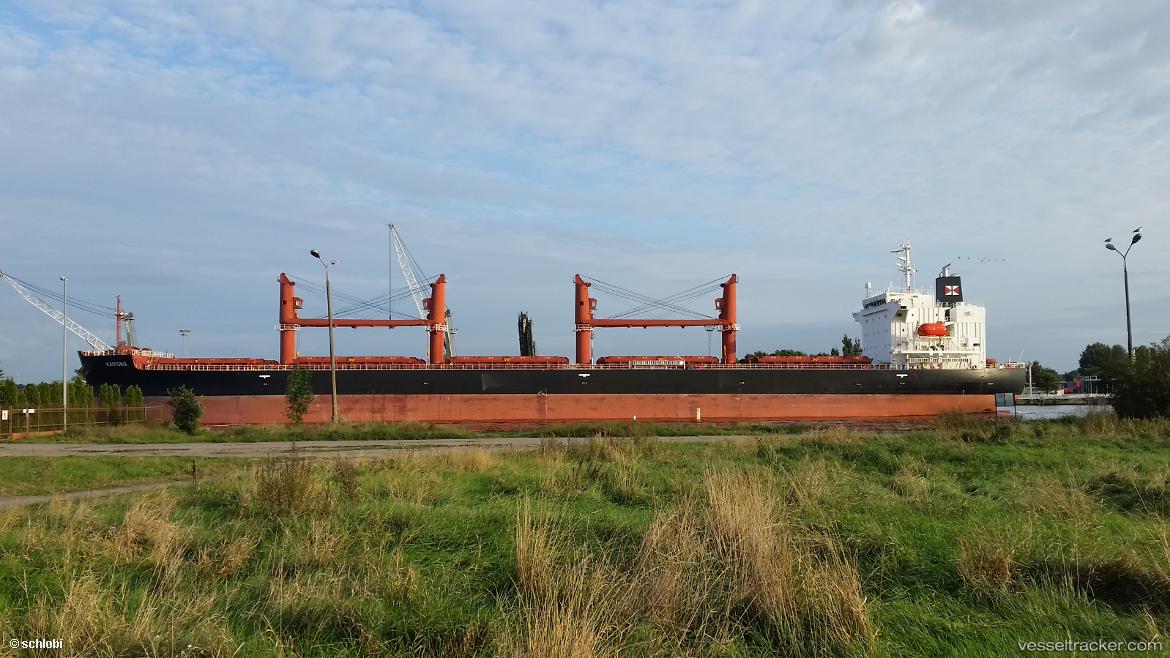 Kaifong - Bulk Carrier vessel
